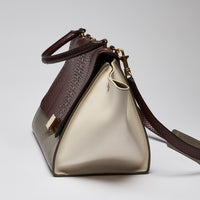 Celine Tri-Color Trapeze Bag