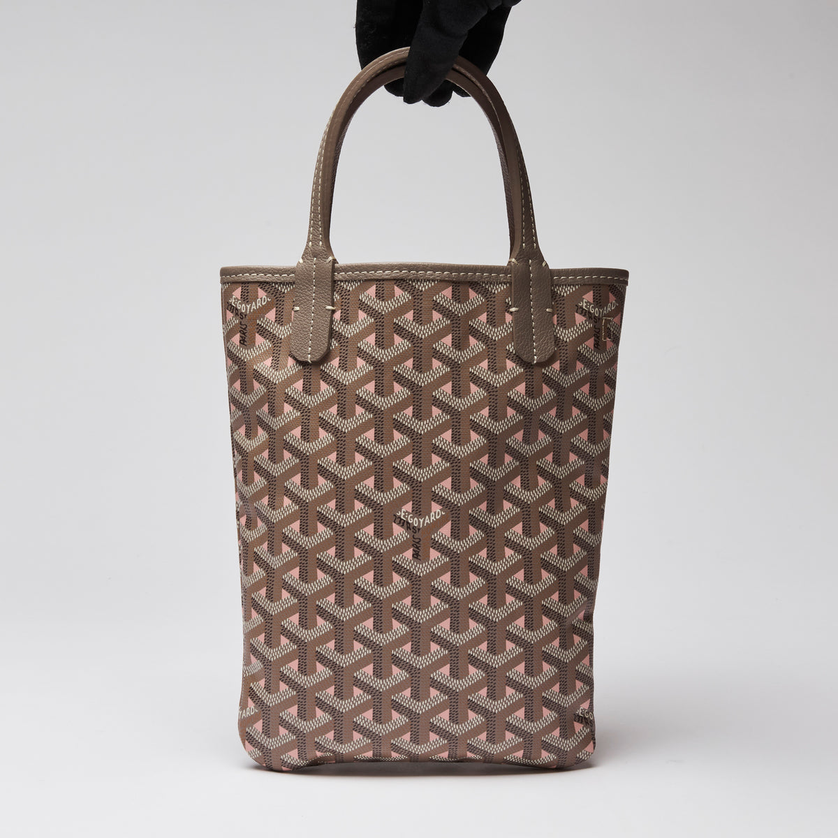 Goyard Goyardine Poitiers Claire Voie Bag