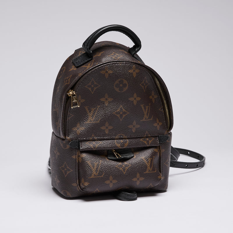 Louis Vuitton Monogram Canvas Mini Palm Spring Back Pack (front)