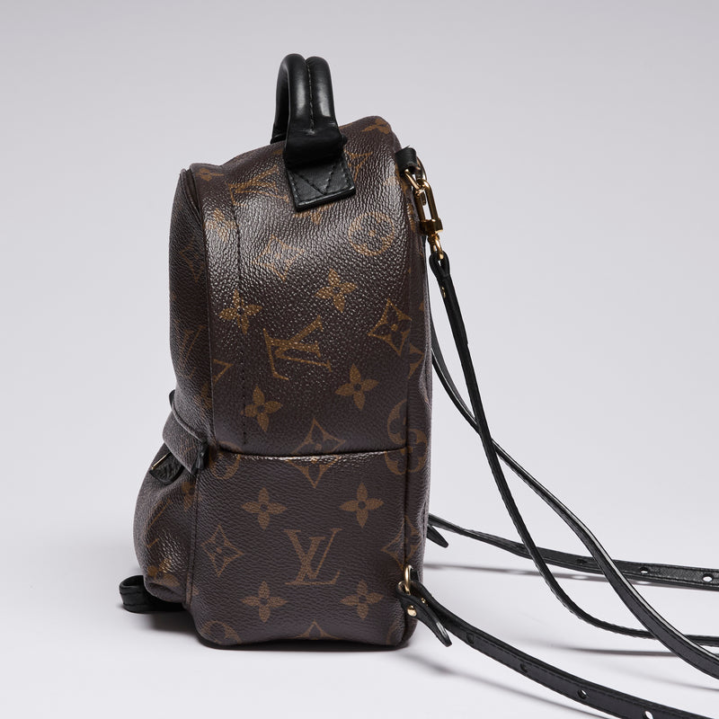 Louis Vuitton Monogram Canvas Mini Palm Spring Back Pack (side)