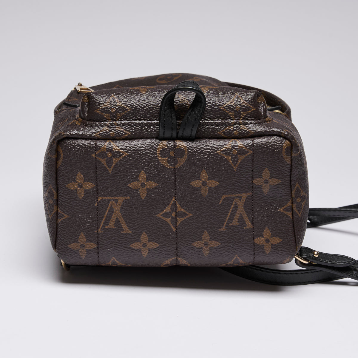 Louis Vuitton Monogram Canvas Mini Palm Spring Back Pack (bottom)